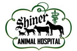 Shiner Animal Hospital Shiner Animal Hospital